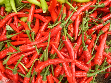 fresh-red-chilli