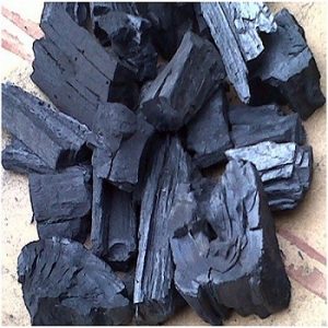 Charcoal-Briquette