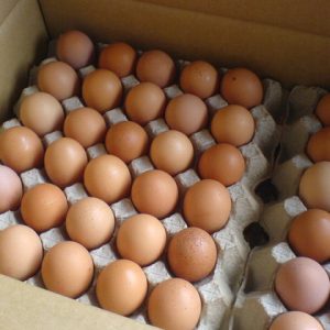 Fresh-Brown-Table-Eggs-Chicken-Eggs