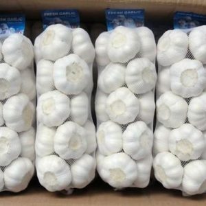 Fresh-white-garlic