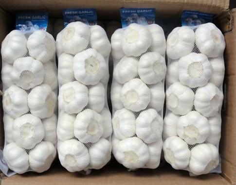 Fresh-white-garlic