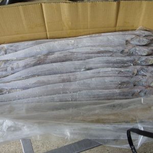 High-Quality-Frozen-Ribbon-Fish