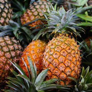 Fresh-quality-Pineapples