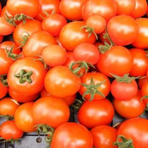 Tomato