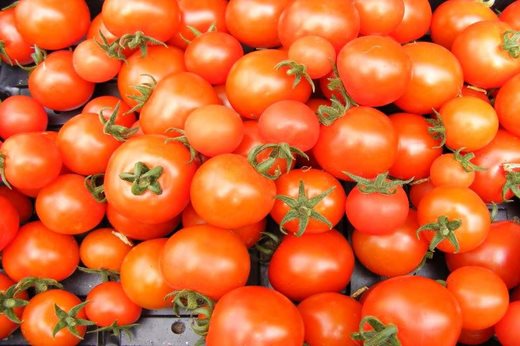 Tomato