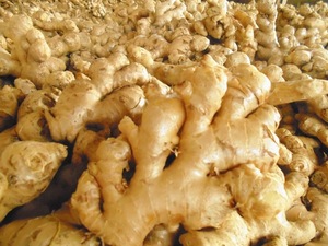 VIETNAM-FRESH-GINGER