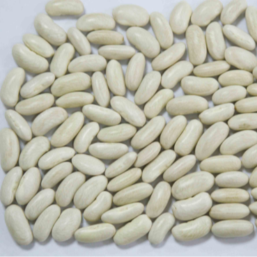 White-Kidney-Beans-Long-shape