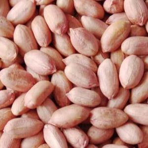 peanut-kernel