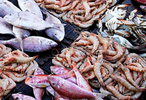 seafood