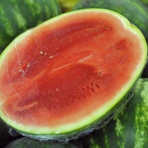 watermelon